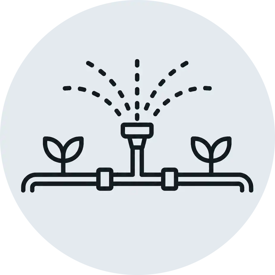 Icon 5